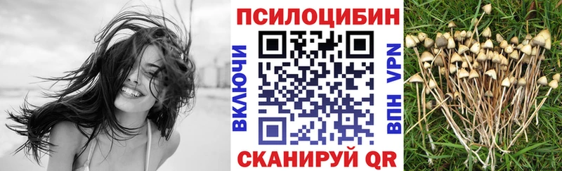 дарнет шоп  блэк спрут   Галлюциногенные грибы MAGIC MUSHROOMS  Почеп 